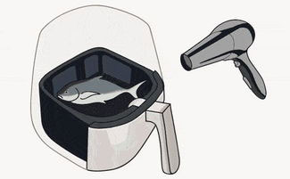 空氣炸鍋原理 空氣炸鍋原理