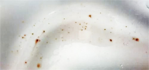 電熱鍋生銹 電熱鍋生銹