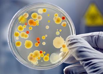 滋生細菌 滋生細菌